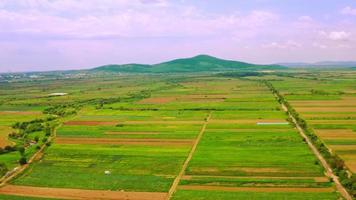 Drone vuela sobre la tierra en el campo video