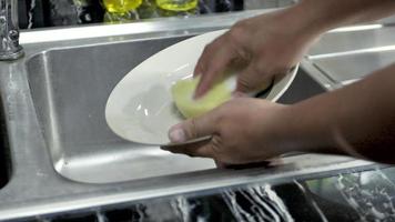 Cleaning Dish with Soap. video