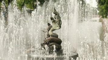 Statue und Brunnen video