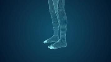 Human legs 3D graphics video