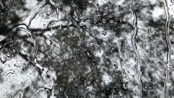 Water Drops Run Down the Glass video