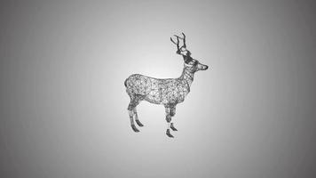 Silhouette deer graphics. 3d video