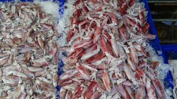 Tintenfisch im Frischmarkt video