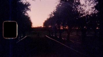 puesta de sol sobre olivar - película super 8 video