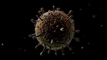 varkensvirus animatie