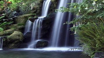 Water Falls Into A Pond video