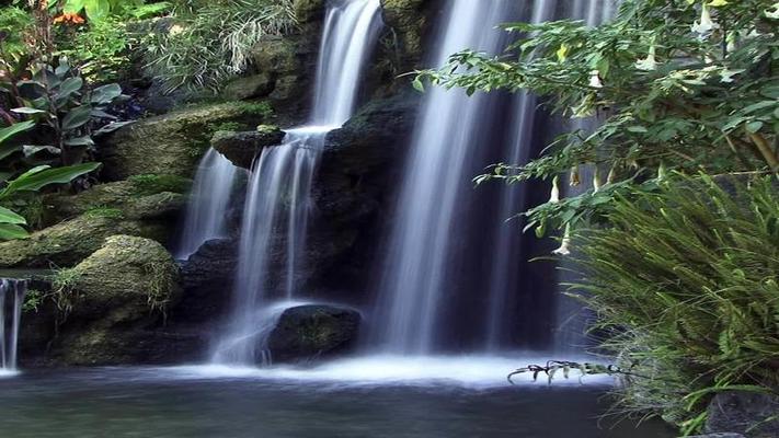 池塘影片