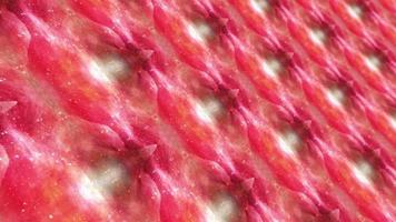 Abstract looping grunge pink red organic nanotechnology concept video