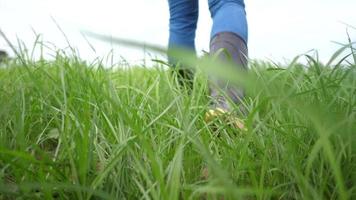 los granjeros usan botas para caminar sobre la hierba en sus granjas. video
