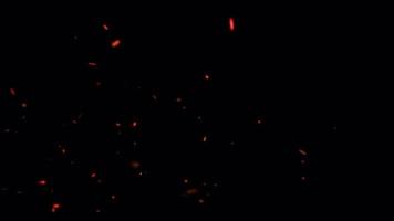 feurig orange leuchtende brennende Aschepartikel video
