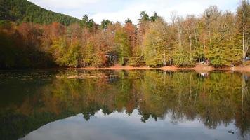hermoso lago en el parque nacional yedigoller durante el otoño video