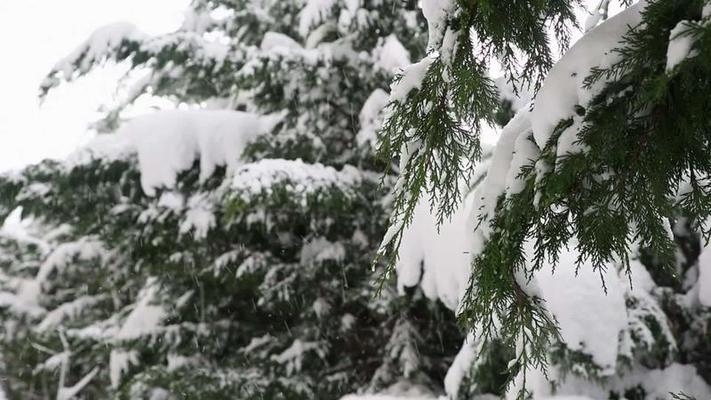 下雪影片