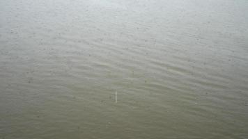 fuertes gotas de lluvia sobre la superficie del agua video