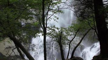 Ein Wasserfall stürzt hinter Bäumen video