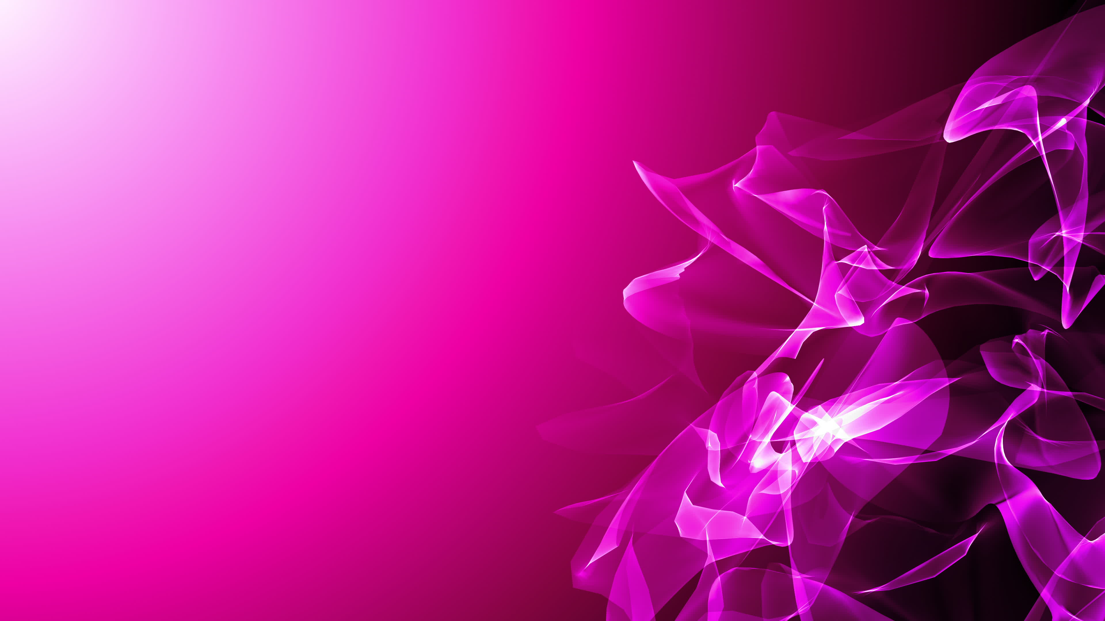 Magenta Stock Video Footage for Free Download