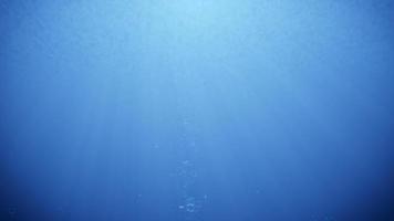 Animation blue ocean waves from underwater with bubbles. video