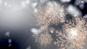 Golden Snowflakes Falling Background video