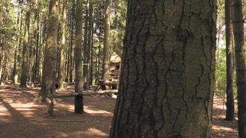 une maisonnette vide dans une forêt video