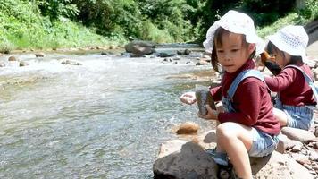 niñas divirtiéndose alimentando a los peces junto al río. video