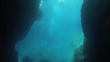 mergulhadores nadando em uma caverna marítima video