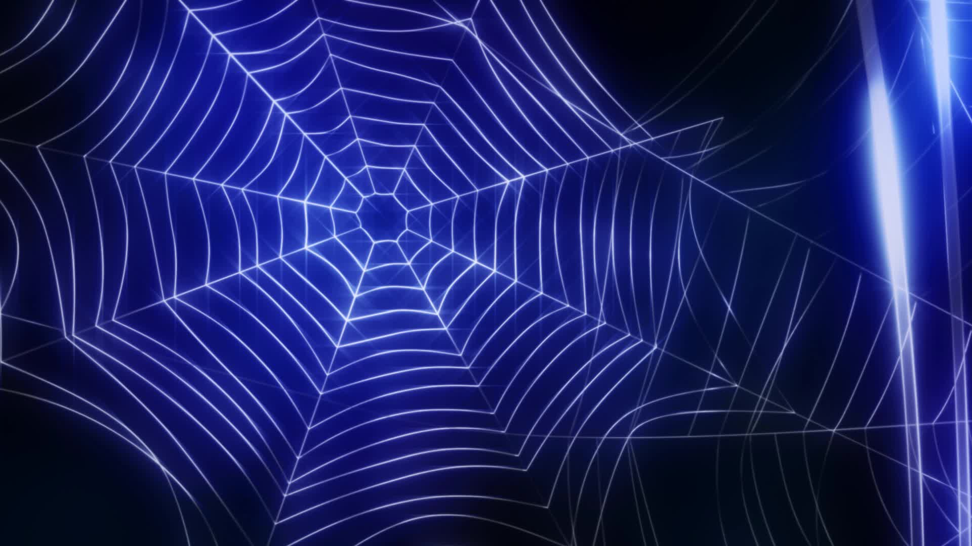 Spiders Stock Video Footage for Free Download