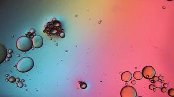 mouvement de bulles d'huile multicolores