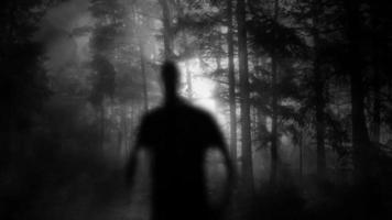 Male Silhouette Walking In Forest video