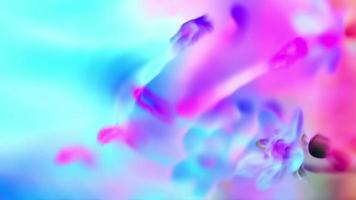 blauwe en roze abstracte bloemen video