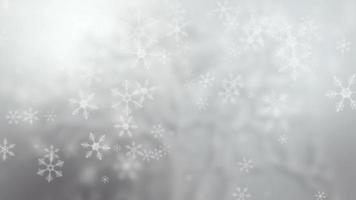 Snowflakes Falling Background video