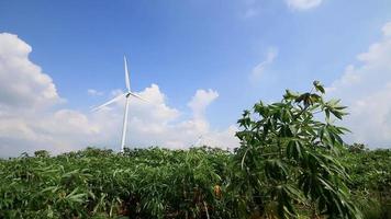 Prado verde y turbinas eólicas sobre un fondo de cielo azul video