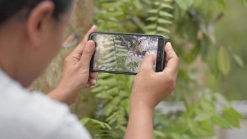 vrouwelijke botanicus die foto van varen neemt video