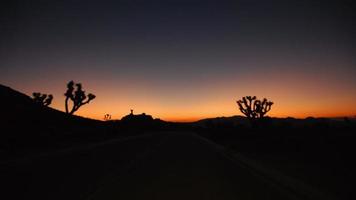 rijden over een Joshua Tree Highway naar een zonsondergang video