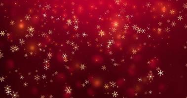 Christmas Background with Snowflake  Particles video