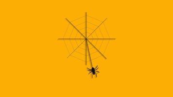 spindel oscillerar hängande på webben. video
