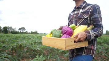 jeune agriculteur asiatique tenant une boîte de légumes biologiques video