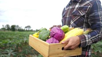 Close up jeune agriculteur tient une boîte de légumes biologiques video