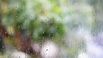 Regentropfen am Fenster und verschwimmen grüne Bäume im Hintergrund video