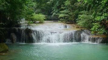 cascada en la selva tropical video