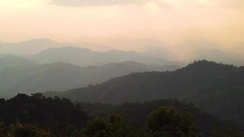 Sunset on a Misty Forest During Fall Season video