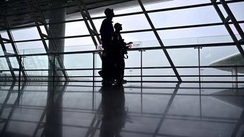 Tourists Walking at The Airport video