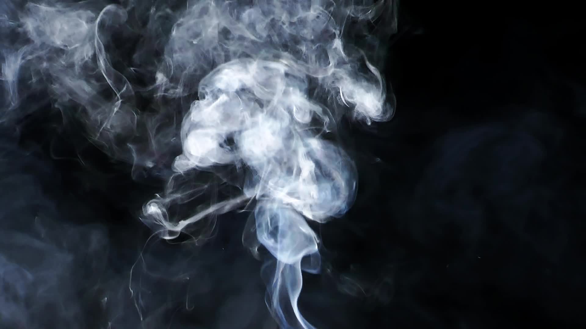 lt smoke grey black white