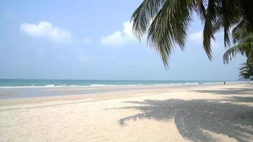 plage tropicale vide video