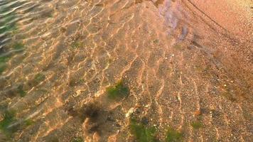 câmera lenta de ondas limpas do mar sobre a areia video