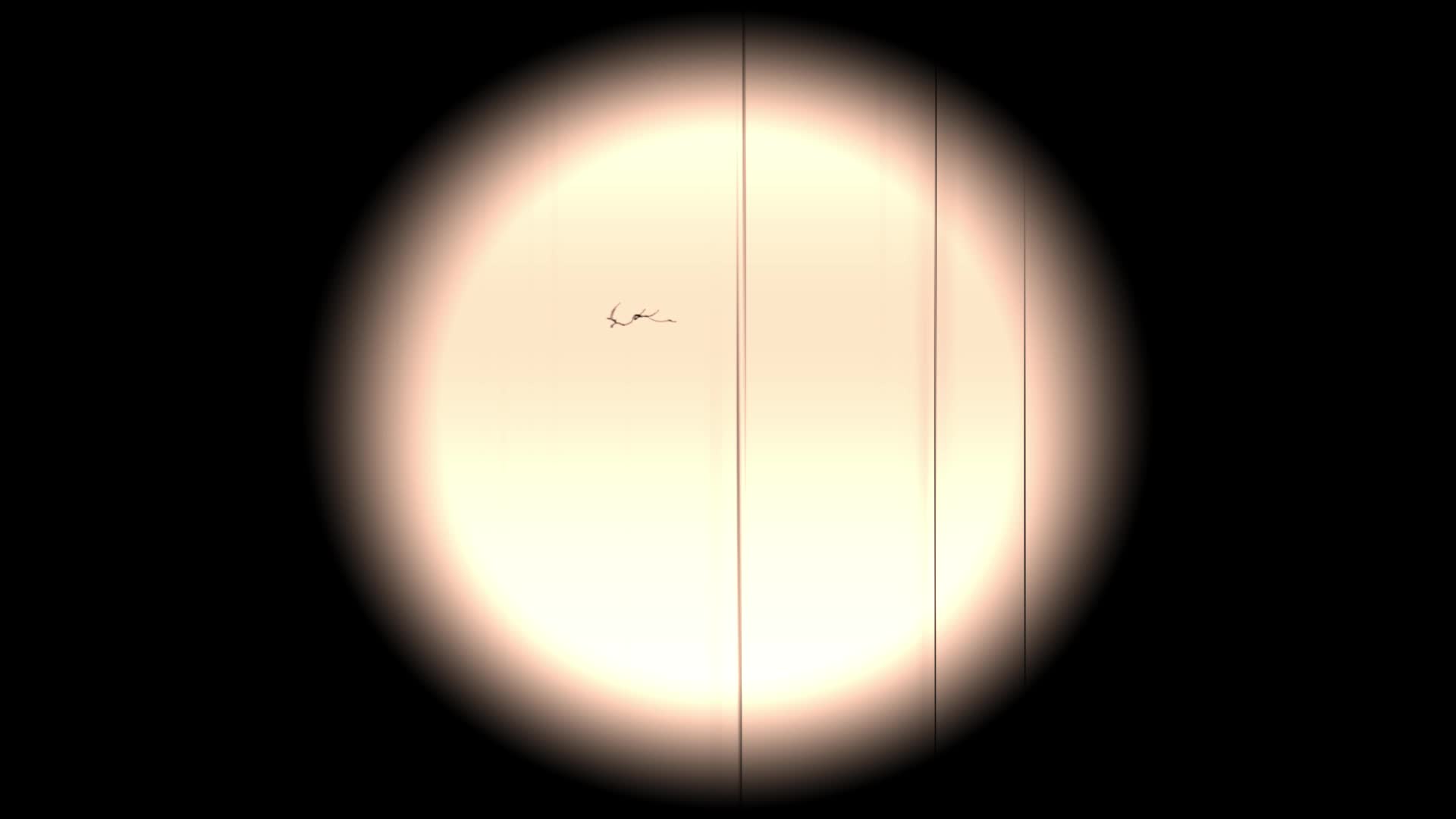 Projector Light Blinking While Presenting 2020965 Stock Video at Vecteezy