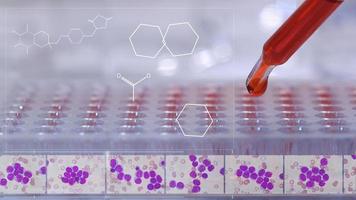 medico o scienziato test in laboratorio con cellule di leucemia su sfondo di medicina. video