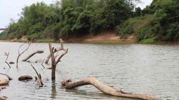 bûches dans la rivière video