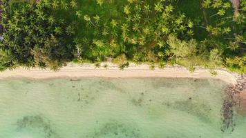 vista aérea de la playa de palmeras tropicales video