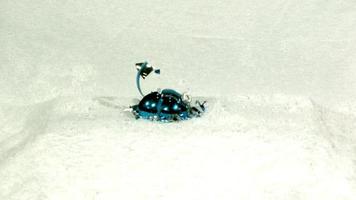 un decoro natalizio rotondo blu che cade e si rompe video