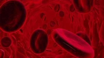 glóbulos vermelhos movendo-se nas veias