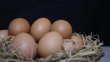 The Cook Reaches out To a Chicken Egg video